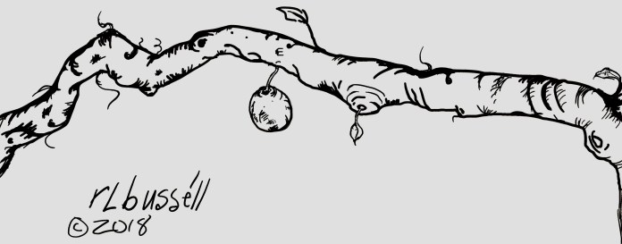 branch of a tree with fruit